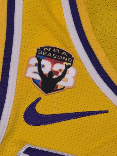 Patch lebron james stagioni - james,